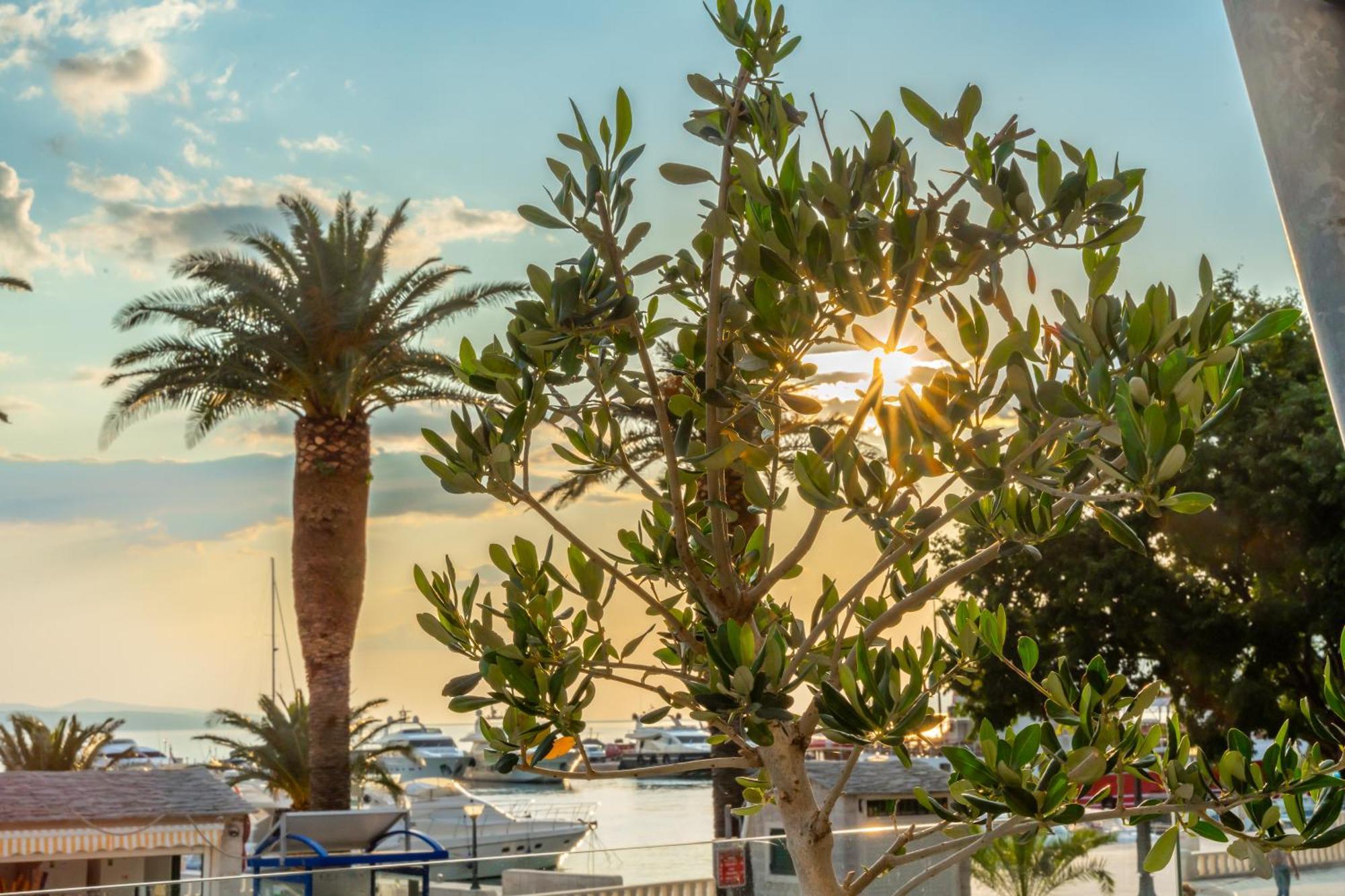 Grand Hotel Slavia - Adults Only Baska Voda Ngoại thất bức ảnh